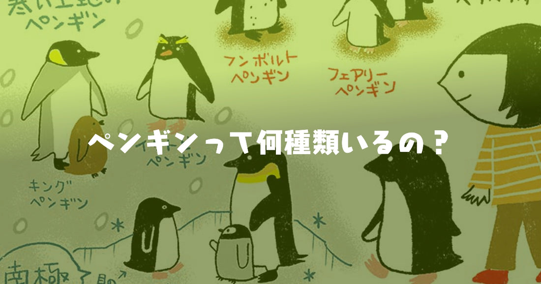 ペンギンは世界に18種類存在する